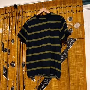 Everlane striped t shirt